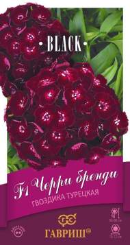 Гвоздика турецкая Черри бренди F1 (гавриш) 4 шт