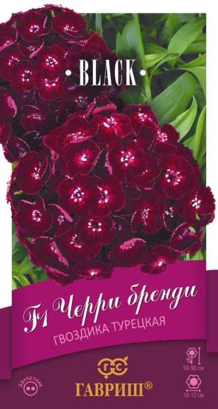 Гвоздика турецкая Черри бренди F1 (гавриш) 4 шт  – купить в г. Омск