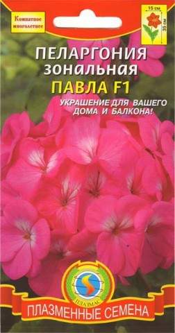 Пеларгония Павла F1 (плазмас) 3 шт Пеларгония Павла F1 (плазмас) 3 шт