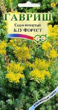 Седум Блу форест (гавриш) 0,01гр  – купить в г. Омск
