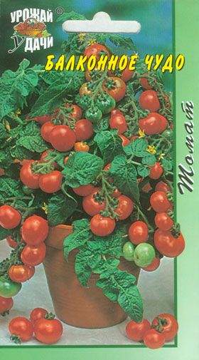 Томат Балконное чудо (цветущий сад) 0,05 гр  – купить в г. Омск