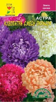 Астра Клеопатра смесь (цветущий сад) 0,2 гр Астра Клеопатра смесь (цветущий сад) 0,2 гр