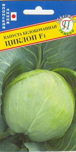 Капуста б/к Циклоп F1 (престиж) 10 шт  – купить в г. Омск