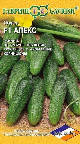 Огурец Алекс F1 (гавриш) 5 шт (bejo)  – купить в г. Омск