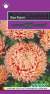 Астра Леди коралл лососево-розовая (гавриш) 0,05 гр  – купить в г. Омск