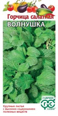 Горчица листовая Волнушка (гавриш) 1,0 гр