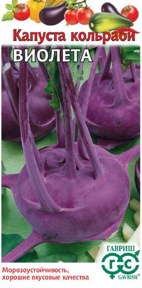 Капуста кольраби Виолета (гавриш) 0,5 гр  – купить в г. Омск