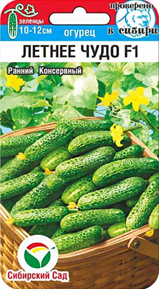 Огурец Летнее чудо F1 (сибирский сад) 5шт – купить в г. Омск Огурец Летнее чудо F1 (сибирский сад) 5шт – купить в г. Омск