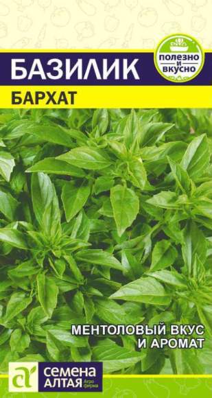 Базилик Бархат (семена Алтая) 0,3 гр – купить в г. Омск Базилик Бархат (семена Алтая) 0,3 гр – купить в г. Омск