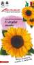 Подсолнечник декоративный Везувий танжи F1 (гавриш) 5 шт  – купить в г. Омск