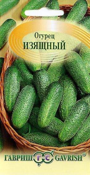 Огурец Изящный (гавриш) 0,5 гр Огурец Изящный (гавриш) 0,5 гр