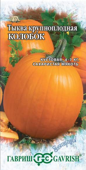 Тыква Колобок (гавриш) 1,0 гр  – купить в г. Омск