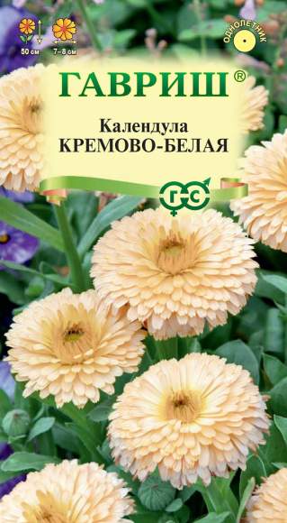 Календула Кремово-белая (г) 0,3гр  – купить в г. Омск