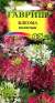 Клеома Матильда (гавриш) 0,2 гр  – купить в г. Омск