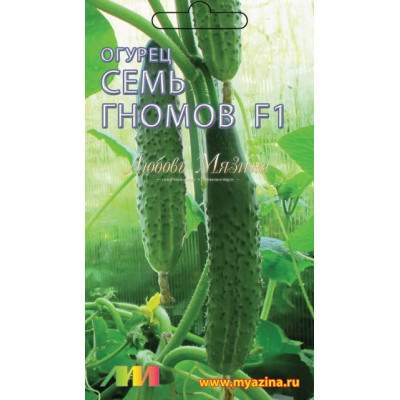 Огурец Семь гномов F1 (мязина) 8шт  – купить в г. Омск