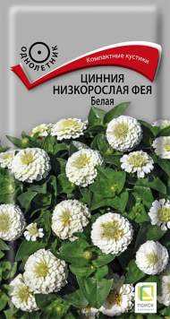 Цинния Фея Белая (поиск) 0,1 гр Цинния Фея Белая (поиск) 0,1 гр