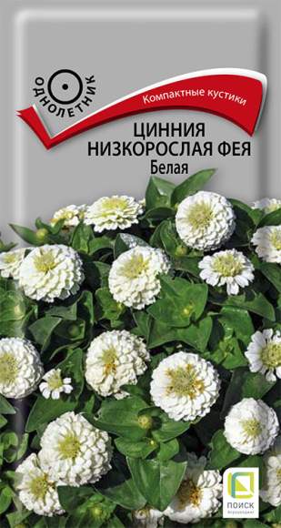 Цинния Фея Белая (поиск) 0,1 гр – купить в г. Омск Цинния Фея Белая (поиск) 0,1 гр – купить в г. Омск