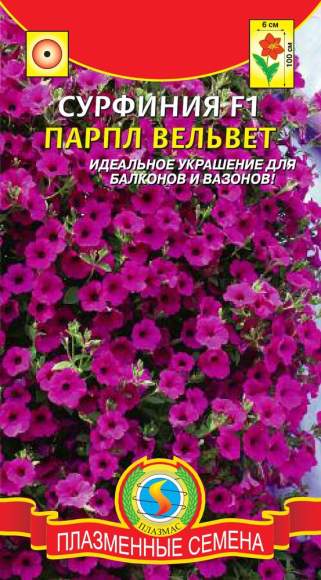 Сурфиния Парпл вельвет F1 (плазмас) 5шт  – купить в г. Омск