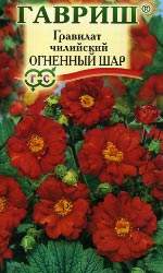 Гравилат Огненный шар (гавриш) 0,05 гр – купить в г. Омск Гравилат Огненный шар (гавриш) 0,05 гр – купить в г. Омск