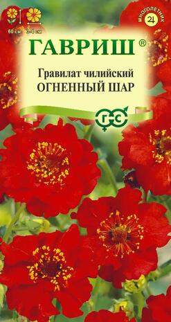 Гравилат Огненный шар (гавриш) 0,05 гр Гравилат Огненный шар (гавриш) 0,05 гр
