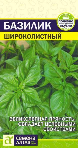 Базилик Широколистный (семена Алтая) 0,3гр  – купить в г. Омск