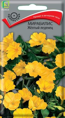 Мирабилис Желтый леденец (поиск) 1,0 гр 