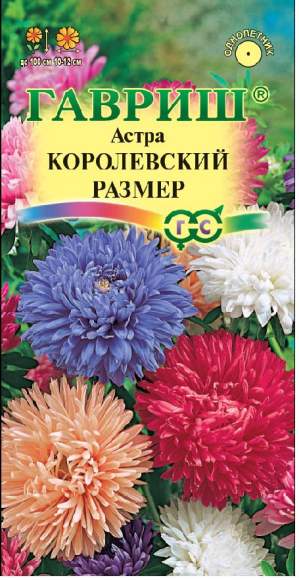 Астра Королевский размер,смесь (гавриш) 0,3гр  – купить в г. Омск
