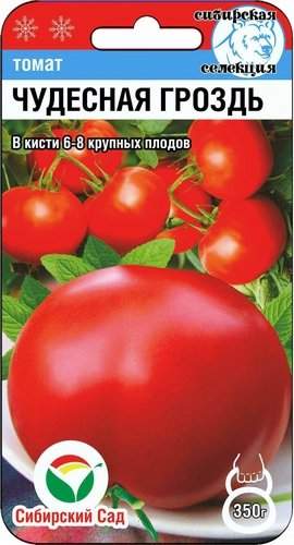 Томат Чудесная гроздь (сибирский сад) 20шт – купить в г. Омск Томат Чудесная гроздь (сибирский сад) 20шт – купить в г. Омск