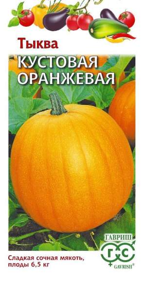 Тыква Кустовая оранжевая (гавриш) 1,0гр  – купить в г. Омск