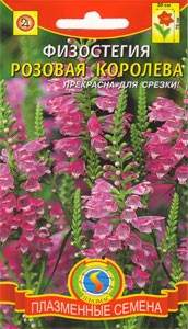 Физостегия Розовая королева (плазмас) 10 шт  – купить в г. Омск