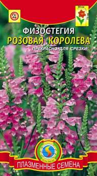 Физостегия Розовая королева (плазмас) 10 шт Физостегия Розовая королева (плазмас) 10 шт