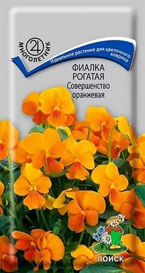 Фиалка Совершенство оранжевая (поиск) 0,1 гр многолетник – купить в г. Омск Фиалка Совершенство оранжевая (поиск) 0,1 гр многолетник – купить в г. Омск