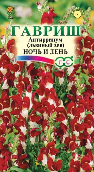 Львиный зев Ночь и День (гавриш) 0,05гр  – купить в г. Омск