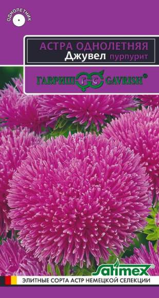 Астра Джувел Пурпурит (гавриш) 0,05гр – купить в г. Омск Астра Джувел Пурпурит (гавриш) 0,05гр – купить в г. Омск