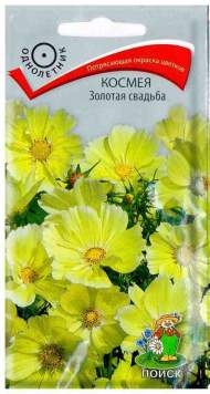 Космея Золотая свадьба (поиск) 10 шт