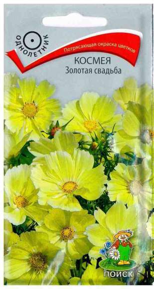 Космея Золотая свадьба (поиск) 10 шт  – купить в г. Омск