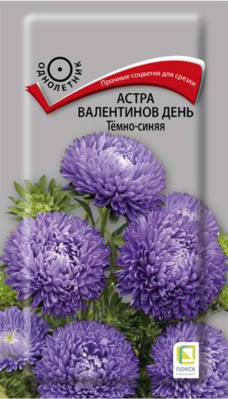 Астра Валентинов день темно-синяя (поиск) 0,2гр  – купить в г. Омск