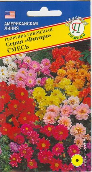 Георгина Фигаро смесь (престиж) 7 шт  – купить в г. Омск