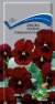 Фиалка Совершенство рубиновая (поиск) 0,1 гр многолетник  – купить в г. Омск