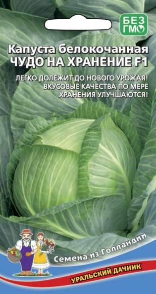 Капуста б/к Чудо на хранение F1 (уральский дачник) 0,3гр  – купить в г. Омск