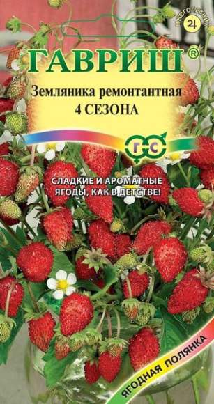 Земляника 4 сезона (гавриш) 0,03гр – купить в г. Омск Земляника 4 сезона (гавриш) 0,03гр – купить в г. Омск