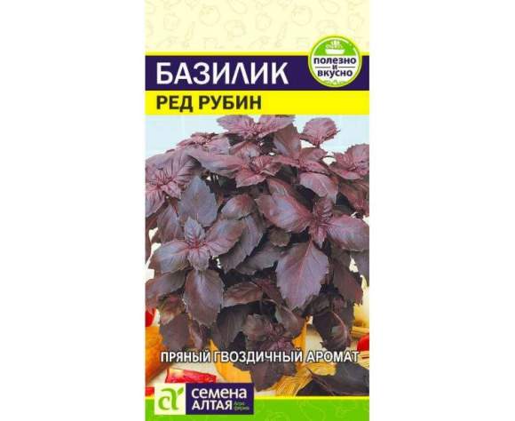 Базилик Ред рубин (семена Алтая) 0,3гр  – купить в г. Омск