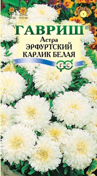 Астра Эрфуртский карлик белая (гавриш) 0,3гр