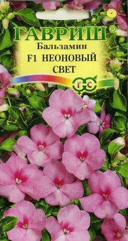 Бальзамин Неоновый свет F1 (гавриш) 4шт  – купить в г. Омск