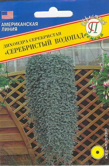 Дихондра Серебристый водопад (престиж) 2 шт  – купить в г. Омск