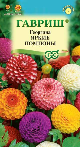 Георгина Яркие помпоны (гавриш) 0,2 гр  – купить в г. Омск
