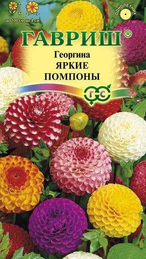 Георгина Яркие помпоны (гавриш) 0,2гр  – купить в г. Омск
