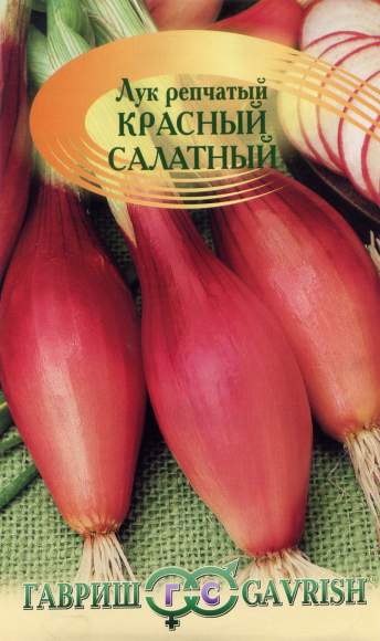 Лук репчатый Красный салатный (гавриш) 0,5гр  – купить в г. Омск