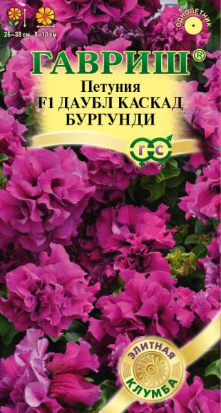 Петуния Даубл каскад бургунди F1 (гавриш) 5 шт – купить в г. Омск Петуния Даубл каскад бургунди F1 (гавриш) 5 шт – купить в г. Омск