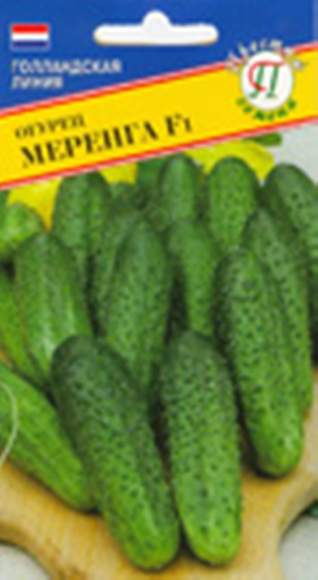 Огурец Меренга F1 (престиж) 5 шт (seminis)  – купить в г. Омск